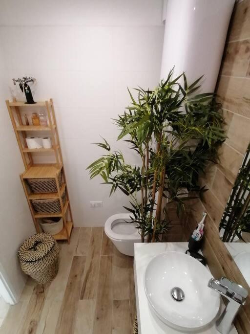 Superbe Studio Ethnique Apartment Hyeres Ngoại thất bức ảnh