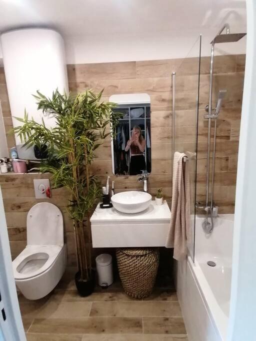 Superbe Studio Ethnique Apartment Hyeres Ngoại thất bức ảnh